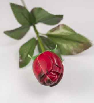 Bouton de rose praliné